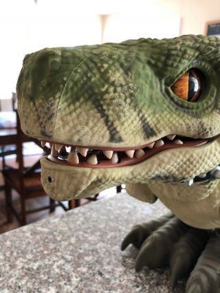 Mattel D - Rex Interactive Dinosaur - Animated & Sounds - No Bone Remote Or Remote