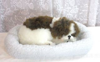 Perfect Petzzz Puppy Shih Tzu Breathing Huggable Pet Dog Bed Euc 2006 Life Like