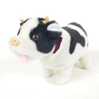 Roly Poly Cow Calf By Iwaya 1983 Battery Operated Plush Cow