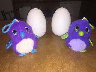 Hatchimals Plush Purple Bird Creature With Sounds Hatching Egg Toy By Spinmaster