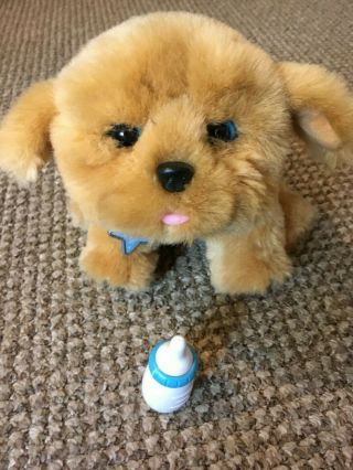 Little Live Pets Snuggles My Dream Puppy Dog Interactive Toy Gift Play