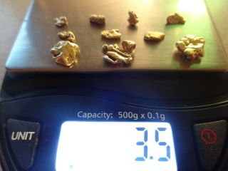 10 California Gold Nuggets 3.  5 Grams Pickers Coloma,  Ca.  - Gold 1st.  Discovered