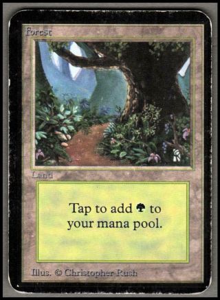 Forest Limited Edition Alpha Magic The Gathering Mtg 1x X1 Mp