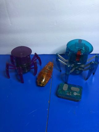 Blue Hexbug Spider W/ Remote Control And Worm And Windup Spider