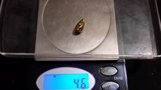 4.  5,  Gram High Purity Gold Nugget.  Yukon Gold,  93.  21 - 23k.