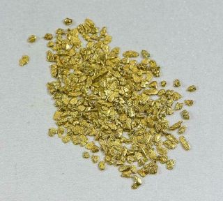 California Gold Nuggets 3 Grams Of 18 Mesh Gold Authentic Natural American Rive