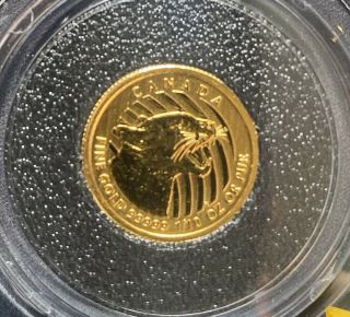 2016 1/10 Oz Canadian Gold Coin, .  99999,  Cougar,  W/assay.  See Photos.  Bin Steal