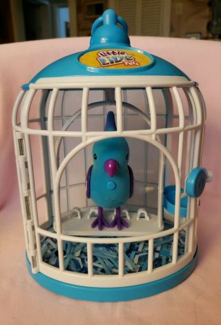 Little Live Pets Blue Bird With Cage Swing Chirps,  Sing