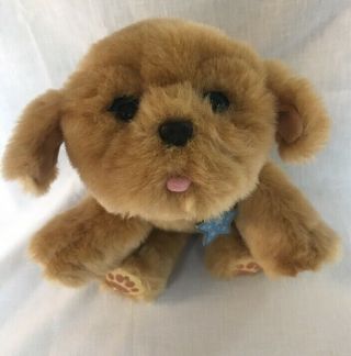 Little Live Pets Snuggle My Dream Puppy Interactive Brown Dog Animal Toy Animate