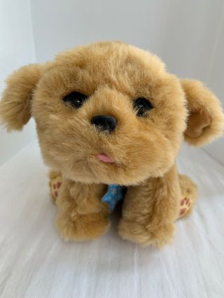 Little Live Pets Snuggles My Dream Puppy Interactive Dog Plush Cute Brown