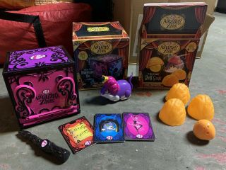 Zhus Magician Pet And Shell Game With Wand & Disappearing Box