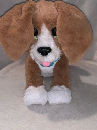 Fur Real Chatty Charlie The Barkin’ Beagle Interactive Puppy Dog Furreal Ages 4,