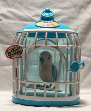 Little Live Pets Tweet Talking Bird In Cage