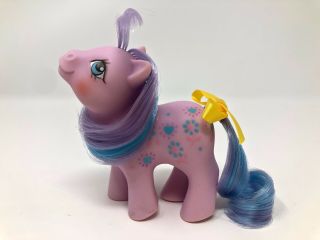 Vintage My Little Pony G1 Mlp Baby Bright Bouquet/ Bloom Loving Family Girl