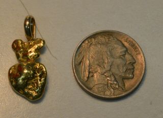 Large Size Natural California Gold Nugget Pendant 4.  4 Grams