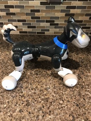 Zoomer ' s Best Friend Shadow Interactive Robotic Dog 2012 Spin Master 5,  years 3