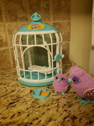 Little Live Pets Tweet Talking Birds With Cage.  Interactive Mother And Baby Owls