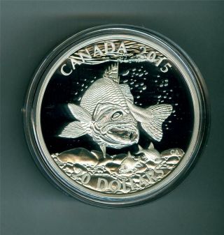Canada 2015 $20 1 Oz.  9999 Fine Silver North American Sportfish Walleye Proof