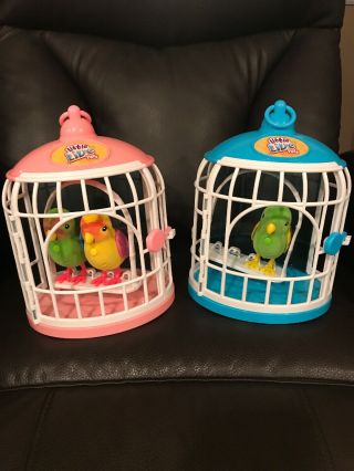 Little Live Pets Birds (pink And Blue Bird Cages & 3 Birds)
