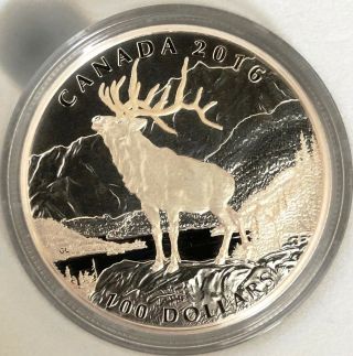 2016 Canada $100 Fine Silver Coin – The Noble Elk