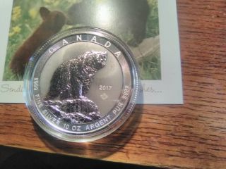 2017 Canadian 10 Oz Silver Grizzly Bear Bu Silver Coin.  9999 Pure 50 Dollars