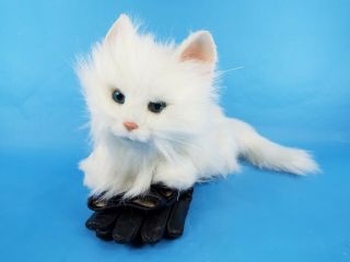Furreal Friends White Kitty Cat Fur Real Tiger Electronics