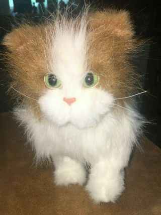 Furreal Friends Orange & White Kitten Kitty Cat Fur Real Toy Meows Purrs Walks