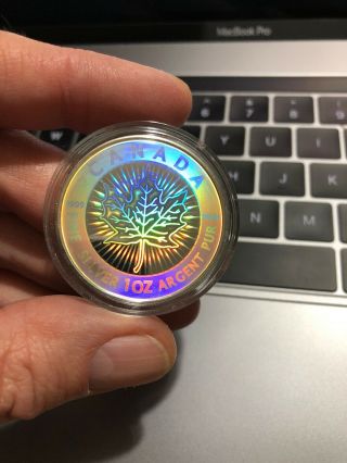 2003 Canadian Silver Maple Leaf - 5 Coin - Hologram Set - W/coa