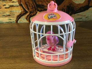 Little Live Pets Bird And Cage Interactive Bird,