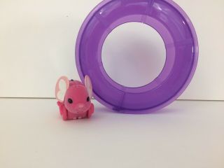 Little Live Pets Puprle Wheel And Pink Mouse
