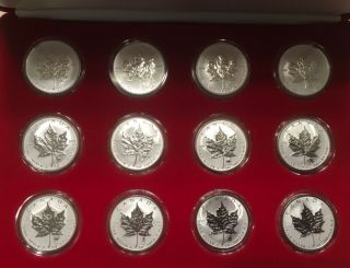 2004 Canada Maple Leaf Zodiac PRIVY Mark Specimen Reverse Proof Silver SET OF 12 2