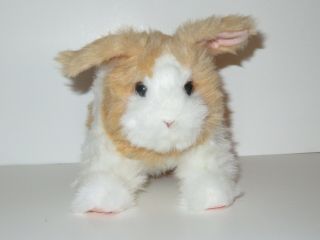 Furreal Friends Hop N Cuddle Bunnies Bunny Rabbit Hasbro White Tan Electronic