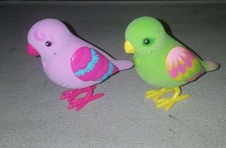 Little Live Pets Tweet Talking Birds Silly Billy,  1 Other Bird