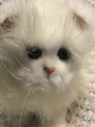 2009 FurReal Friends Plush Furry Fluffy Cat Kitty White Hasbro Walks Purrs 3