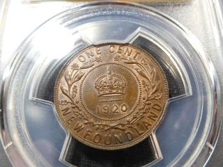 M17 Canada Newfoundland 1920 - C Large Cent PCGS MS - 63 Brown Trends $1530 CAD 2