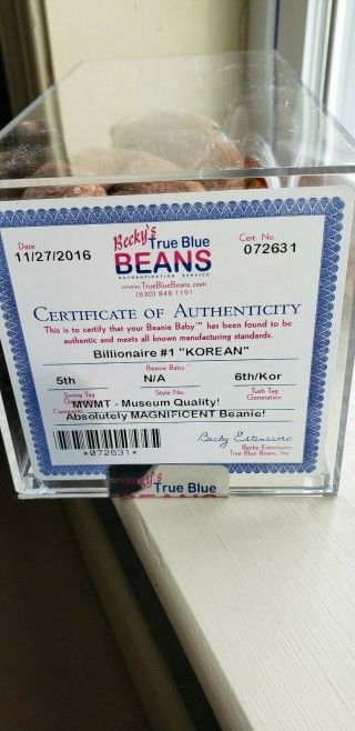 Ty Billionaire 1 Beanie Baby Bear Authenticated Ty Signed - Korean - Mwmt