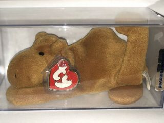 Authenticated Retired Ty Beanie Baby Humphrey Rare 3rd/1st Gen Tag Mwnmt