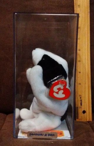 Ty Beanie Baby Spot Very Rare,  Authenticated With,  Pvc 1993 Ht 3rd,  Tt 2nd Gen.