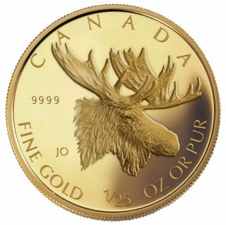 Moose - 2004 Canada 50 - Cent 1/25th Oz.  Gold Coin
