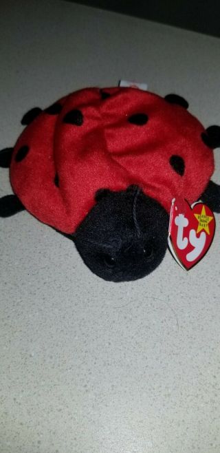 Lucky With 9 Spots Ty Beanie Babies Extremely Rare