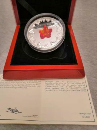 2016 Canada Autumn Radiance Murano Glass Maple Leaf 5 Oz Silver Coin 1896