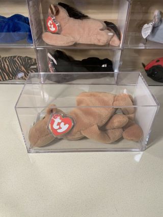 Authenticated Ty Beanie Baby Humphrey The Camel 3rd 1st Mwmt Mq