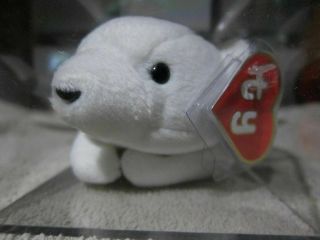Authenticated Chilly 1st Gen Hang & Tush Tags Ty Beanie Baby Mwmt Mq.  Perfect