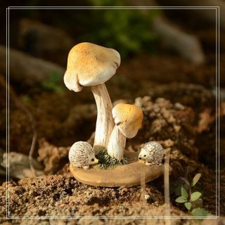 Mushroom Hedgehog Figure Toy Display Home Decor Mini Garden Miniature Fairies