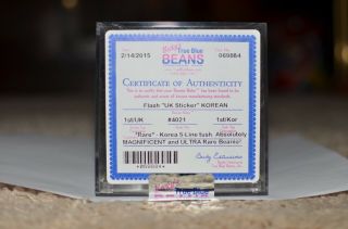 UK STICKER Authenticated TY beanie baby Flash Korean 1st gen True Blue Beans 2