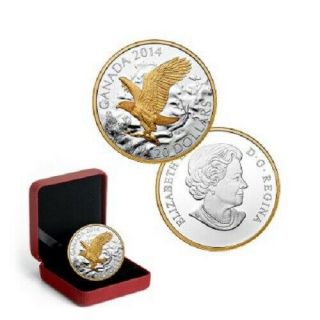 2014 Canada $20 Bald Eagle Perched 1 Oz Pure Silver Proof Gold - Plated Coin