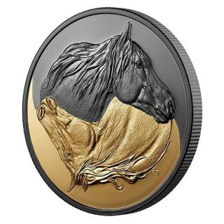 The Canadian Horse – Black & Gold – 2020 $20 1 Oz Fine Silver Gold Plated Coin