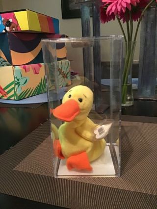 Mq Authenticated Rare Ty Beanie Baby Quackers The Duck 2nd Gen Hang,  1st.  Gen Tt