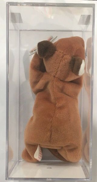Authenticated Mwmt - Mq Sly Fox Brown Belly 4th/3rd Gen Ty Beanie Baby 4115