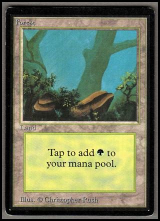 Forest Limited Edition Beta Magic The Gathering Mtg 1x X1 Lp